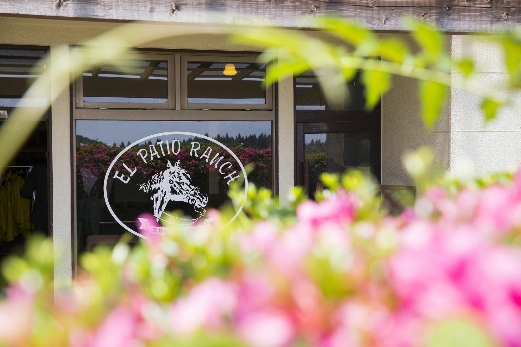 Gasthaus El Patio Ranch Aso Exterior foto